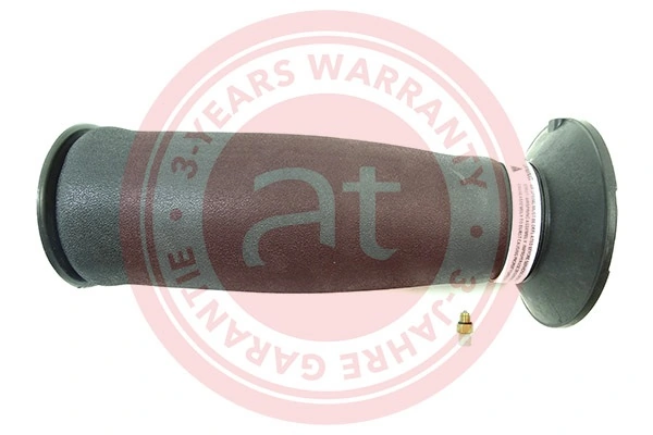 Air Spring, suspension